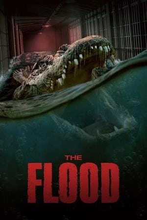 IPTV KOPEN 45 flood